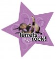 Ferrets Rock - Car Magnet