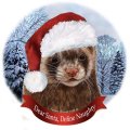 Howliday Ornaments - Dear Santa Explain Naughty!