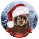 Howliday Ornaments - Dear Santa Explain Naughty!