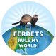 Ferrets Rule My World! Magnet